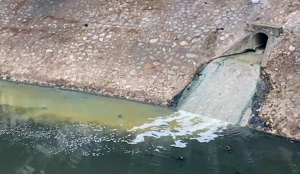 경관과 인간 건강을 보호하기 위해 흐르지 않는 강을 되살리는 것이 시급합니다.