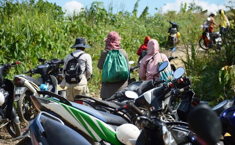 Quang Ngai people go into the forest to exploit fresh air. Photo: Vien Nguyen