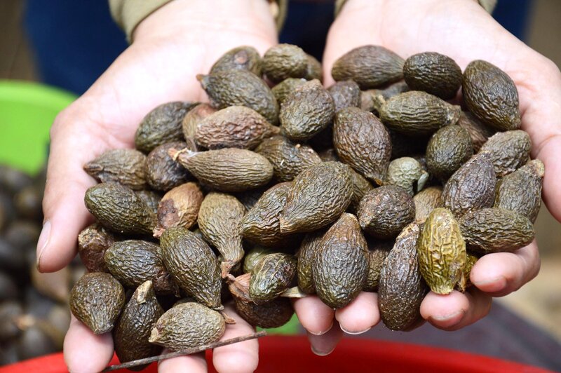 Qua uoi bay duoc mua voi gia cao ky luc 420.000 dong/kg. Anh: Vien Nguyen