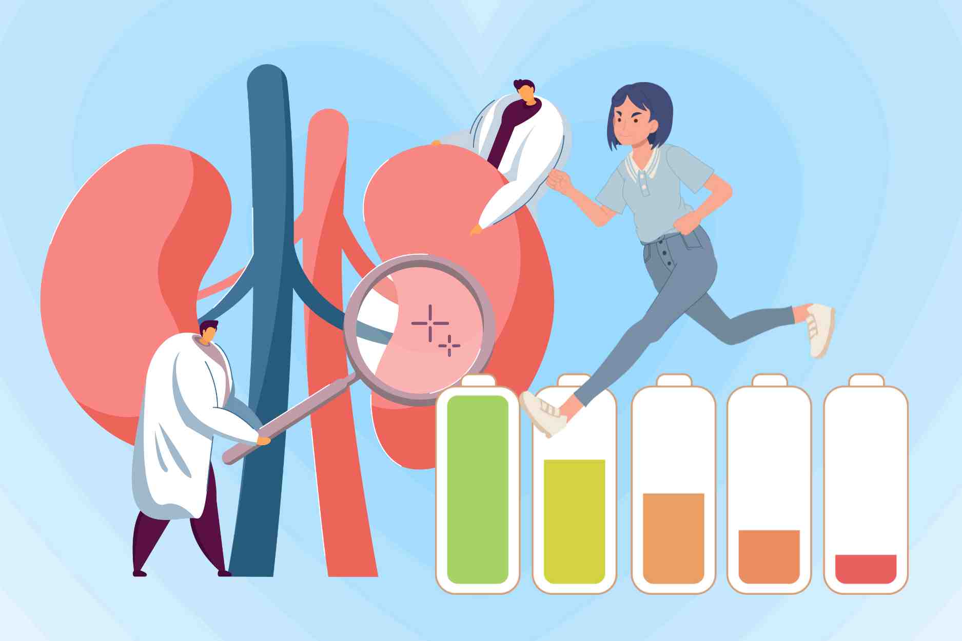 신장 강화 영양 강화 활력 증진에 도움이 되는 귀한 약재