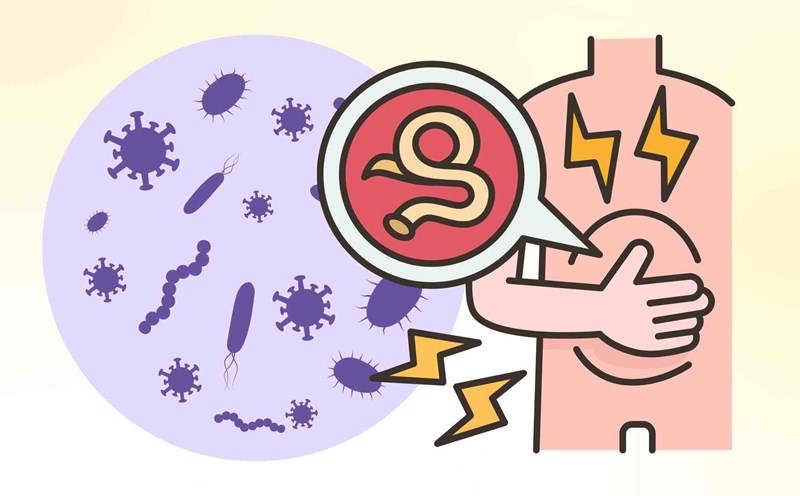 6 types of dangerous parasites that are easily transmitted through raw and uncooked food