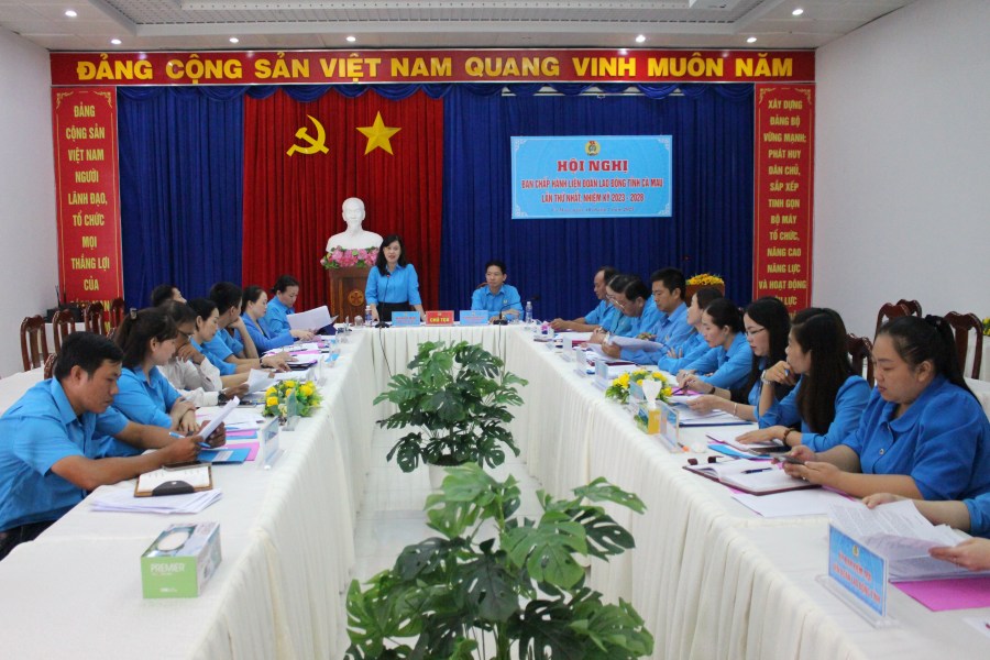 Quang canh Hoi nghi Ban Chap hanh LDLD tinh Ca Mau lan thu nhat (sau sap nhap 2 tinh Bac Lieu va Ca Mau). Anh: Thieu Vu