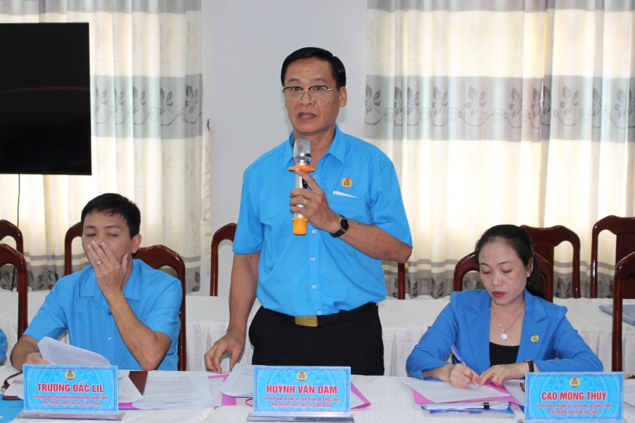Dai bieu phat bieu thao luan tai Hoi nghi Ban Chap hanh LDLD tinh Ca Mau lan thu nhat. Anh: Thieu Vu