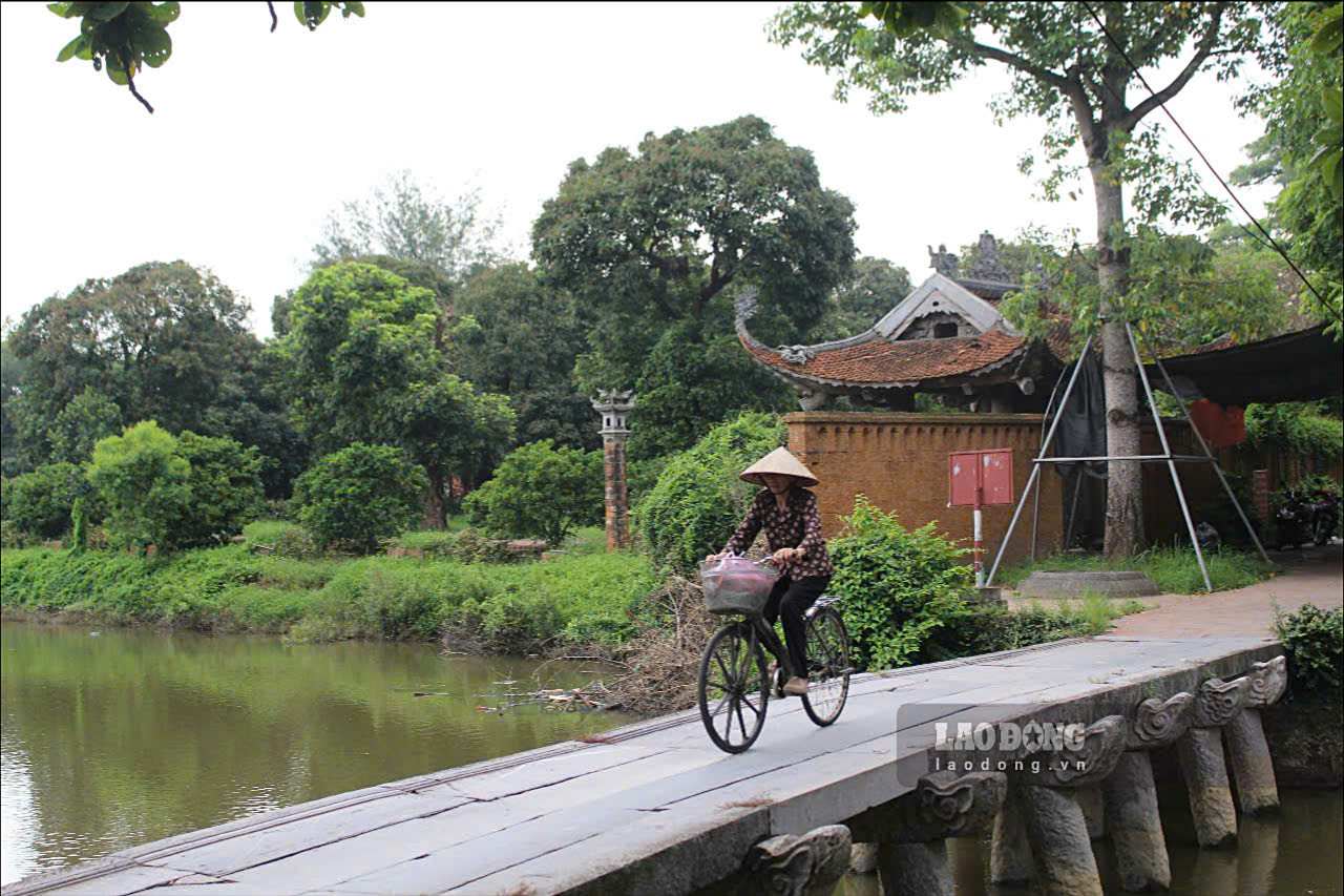 De vao toi cho Nom, nguoi dan va du khach se di qua cay cau da xanh hang tram nam tuoi duoi bong cay gao quanh nam xanh tot. Ngay nay, ngoai nguoi dan trong lang, cho Nom cung la diem dien thu hut du khach tham quan, trai nghiem trong hanh trinh ve voi quan the di tich lang Nom.
