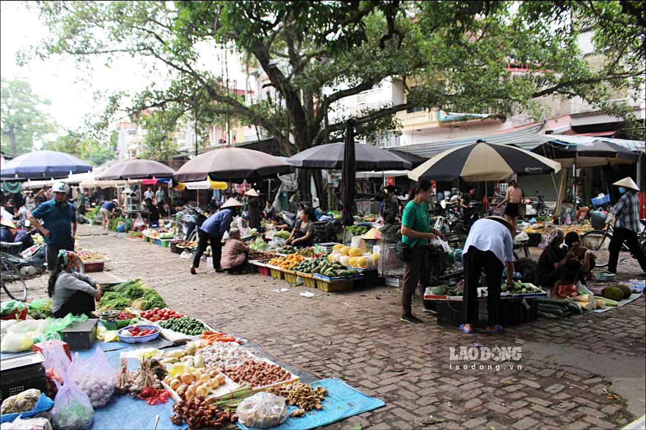 Theo luu truyen, cho Nom co tu thoi Le, sau duoc trung tu lai vao thoi Nguyen. Truoc kia, cho Nom noi tieng la phien cho de trao doi buon ban nguyen lieu cho tho duc dong cua ca khu vuc. Ngay nay, cho Nom da chuyen thanh cho dan sinh voi da dang mat hang hon.
