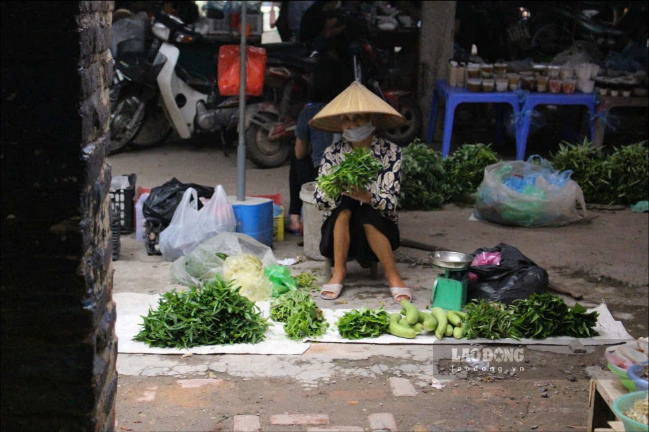 Cac cu gia dau doi non la, ban tay nhan nheo sua soan tung mo rau, qua muop mang den hinh anh gian di, gan gui trong phien cho que gan voi ki uc bao nguoi.