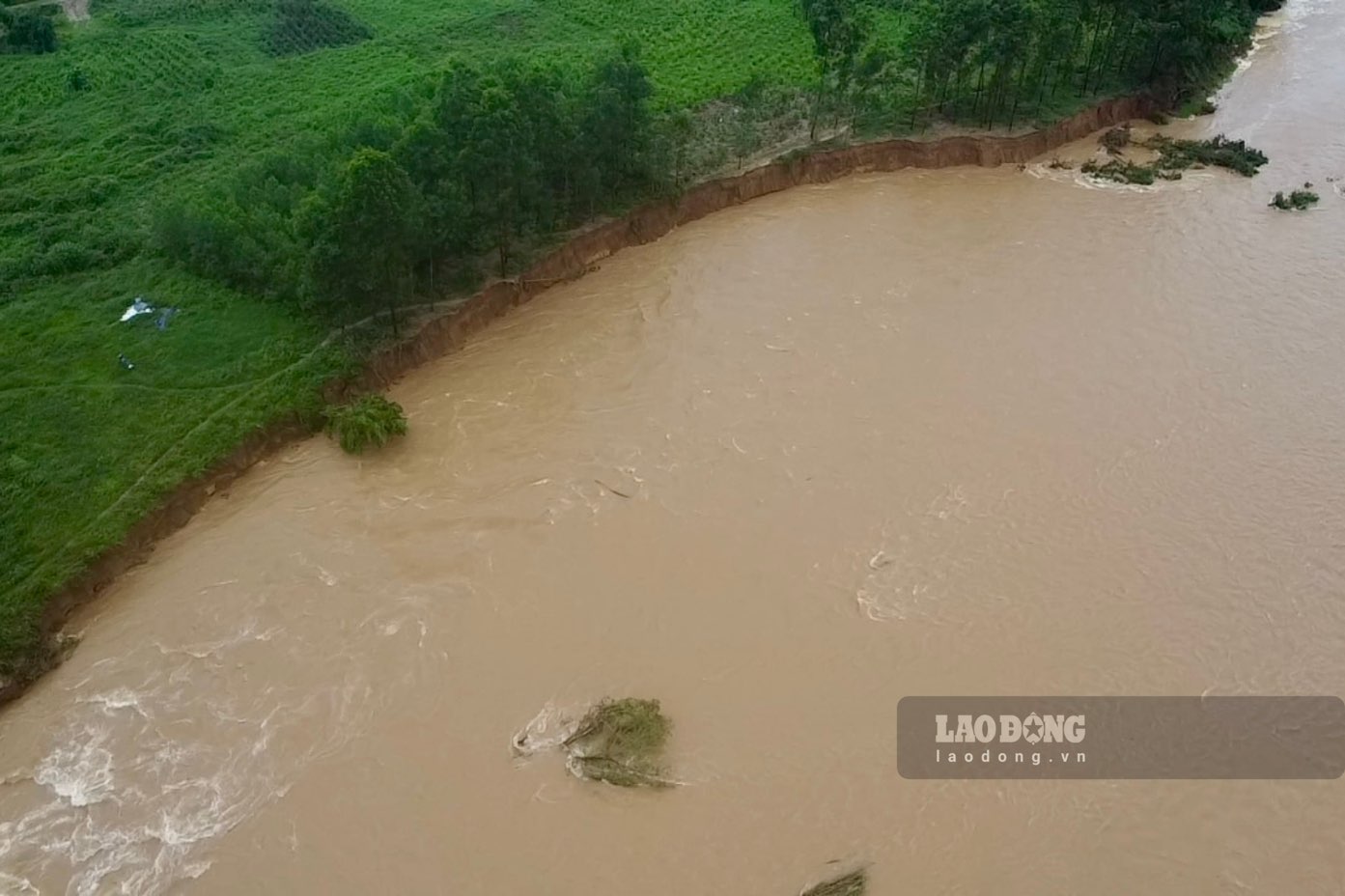 Weather forecast for tomorrow, July 11 to July 12, the Northern region and Thanh Hoa will continue to have moderate to heavy rain, some places will have very heavy rain with a total common amount of 50-120mm, some places over 250mm. . Photo: Nguyen Hoan