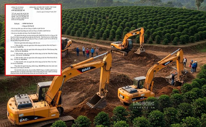 Thanh tra tinh Gia Lai dang vao cuoc lam ro vu viec hon 260ha dat cua doanh nghiep bi nguoi dan chiem dung. Do Hoa: Hoai Phuong