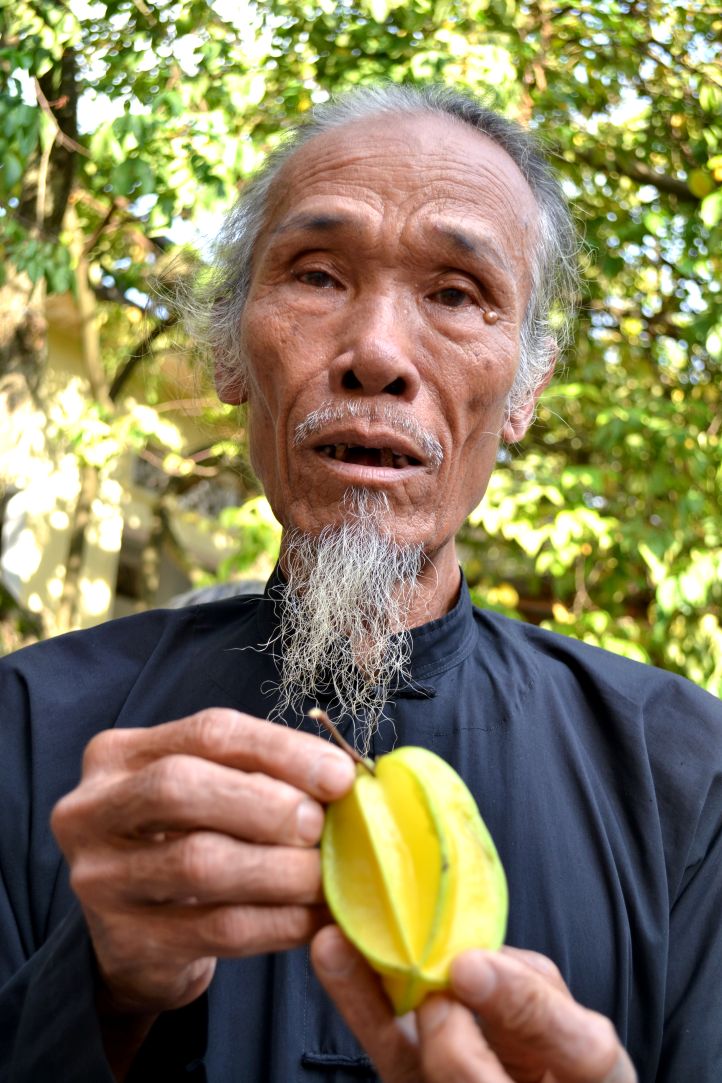 Tin do thuong su dung trai khe vao viec dieu tri cac benh thong thuong. Anh: Thanh Mai 