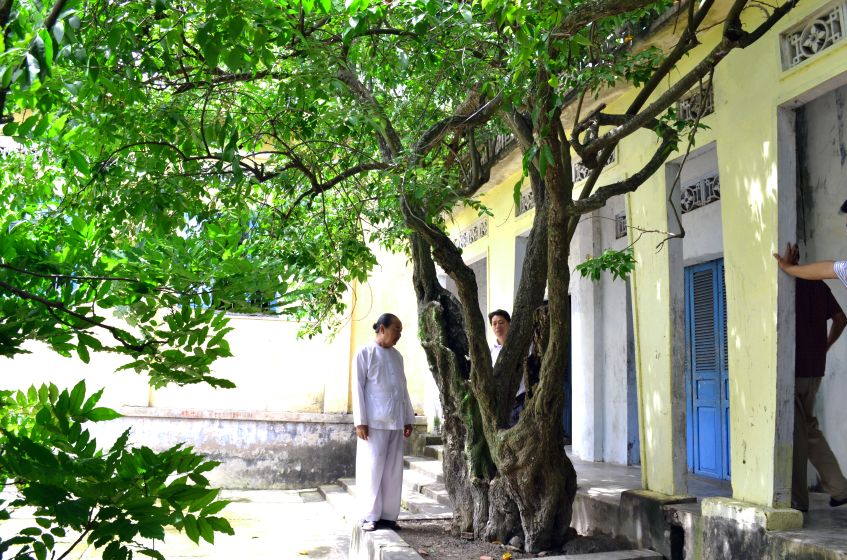 Noi day co cay khe rat dac biet. Anh: Thanh Mai