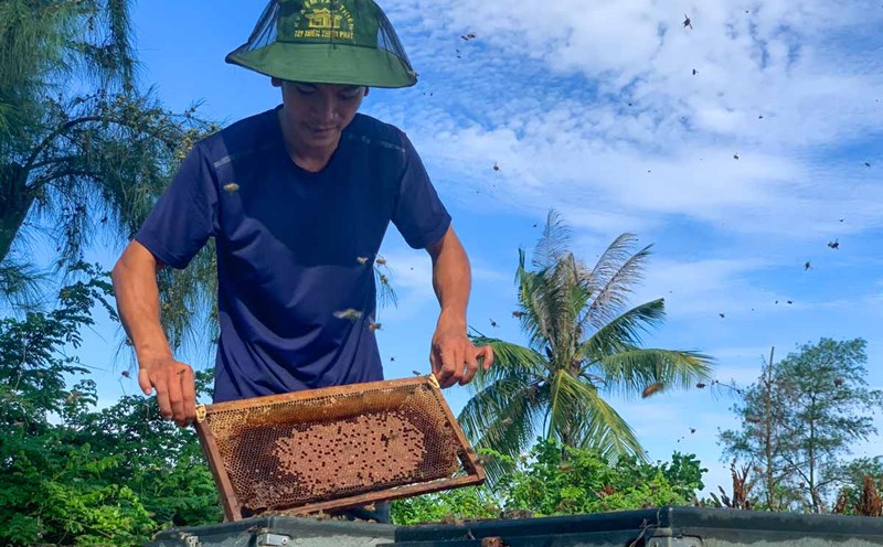 The honey and sativity season in Xuan Thuy National Park in Ninh Binh province. Photo: Luong Ha