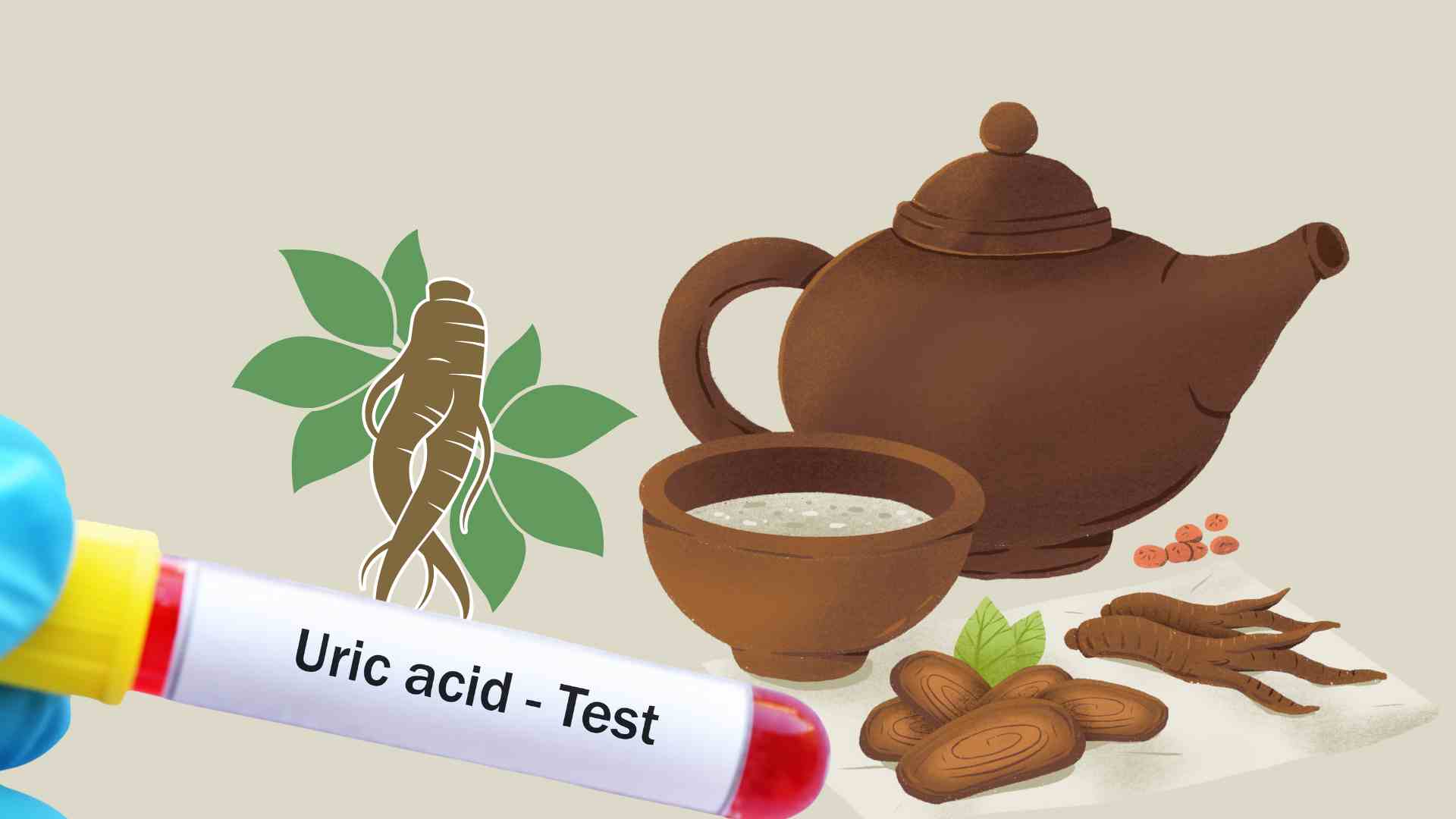 The root helps prevent uric acid spikes. Graphic photo: Thai Anh