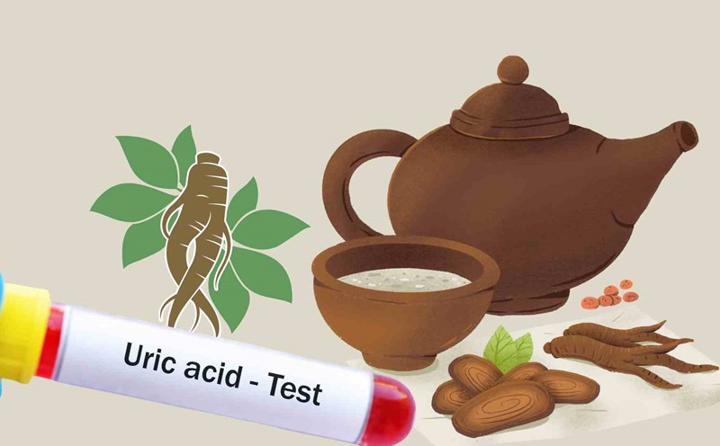 The root helps prevent uric acid spikes. Graphic photo: Thai Anh