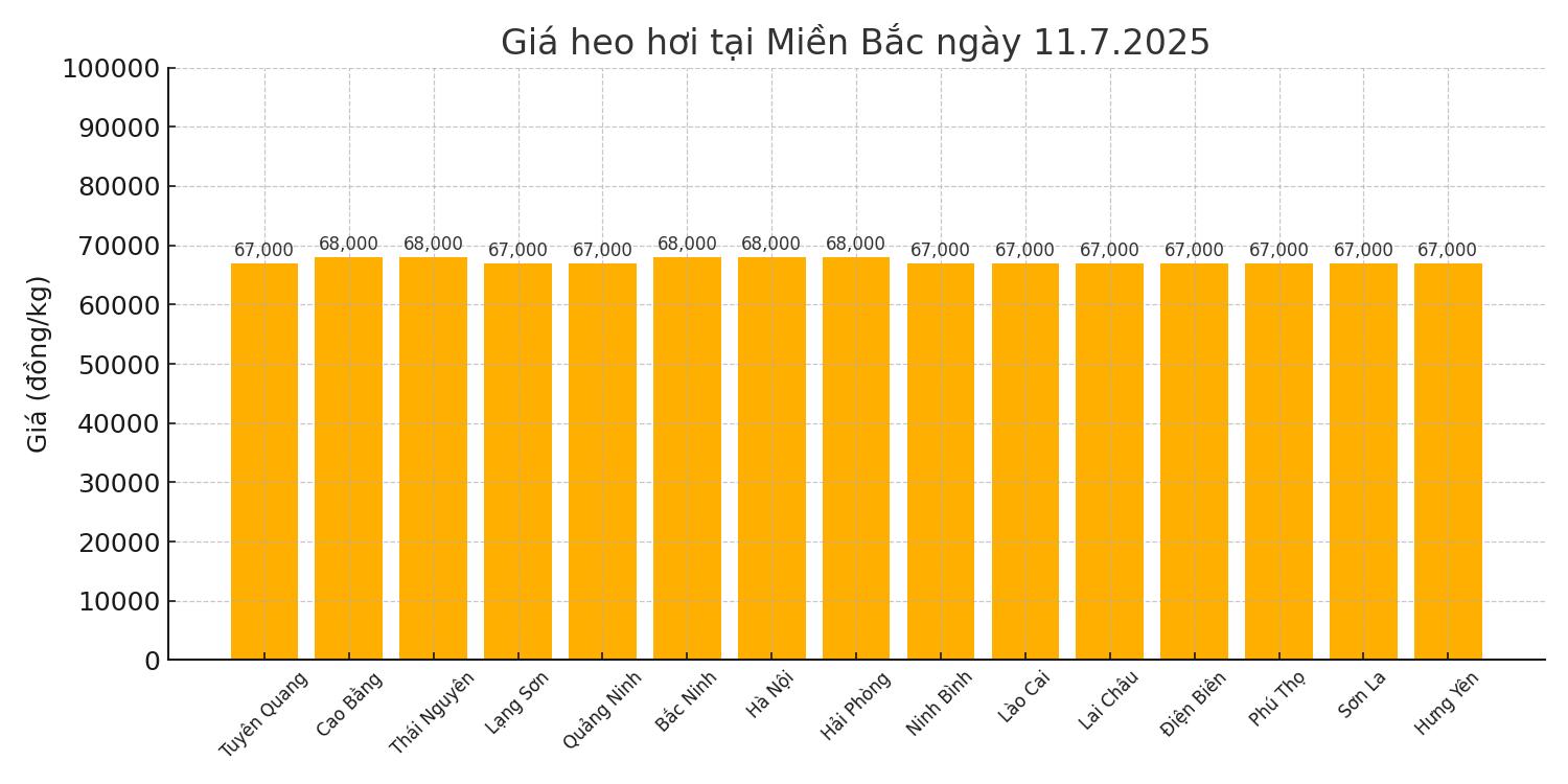 Gia heo hoi ngay 11.7 tai khu vuc mien Bac. Do hoa: Thuy Linh