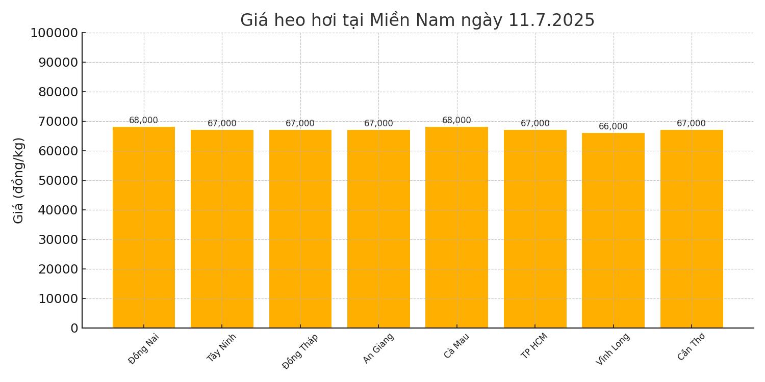 Gia heo hoi ngay 9.7 tai khu vuc mien Bac. Do hoa: Thuy Linh