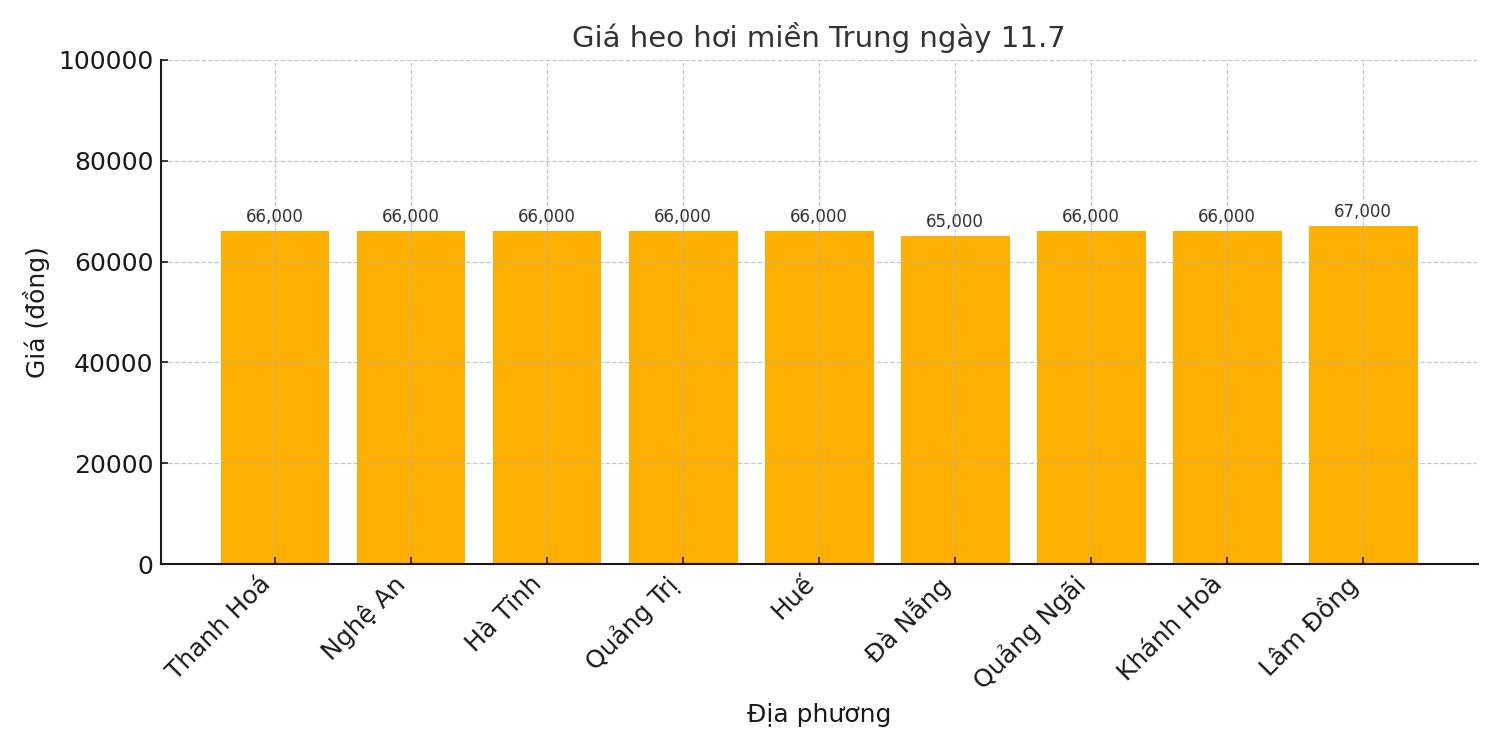 Gia heo hoi ngay 11.7 tai khu vuc mien Trung. Do hoa: Thuy Linh