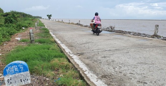 Tay Ca Mau 해안 제방의 많은 구간에서 더 이상 제방 기슭까지 산사태가 발생한 숲이 없으며 산사태 제방 붕괴 위험이 매우 높습니다. 사진: Nhat Ho