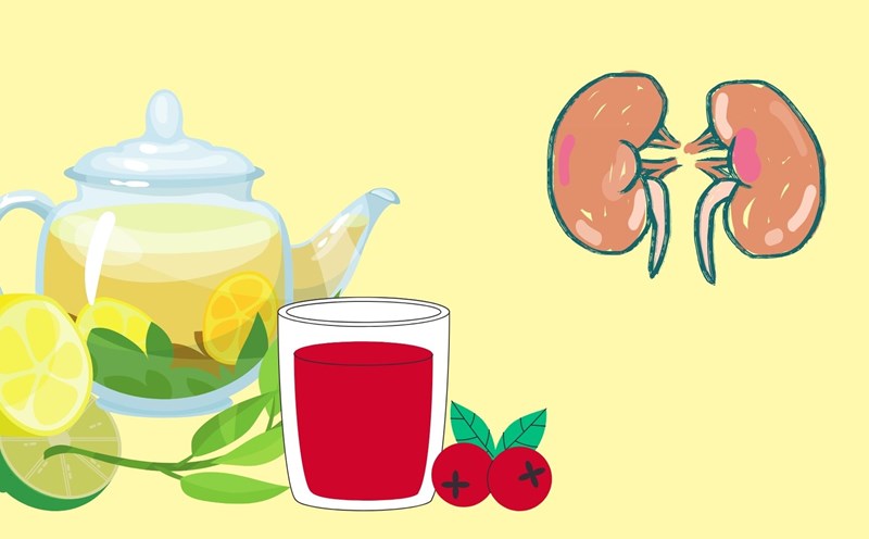 Jewelry that helps the kidneys self-fyst the toxins. Graphics: Dinh Dinh