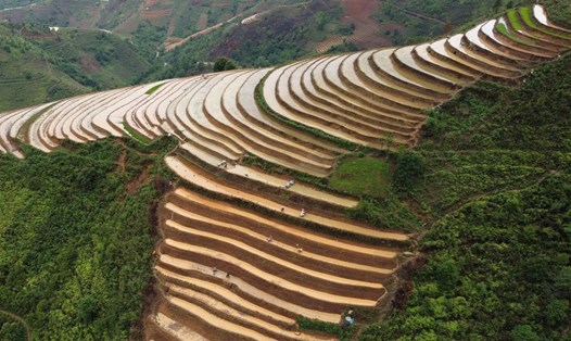 Mùa nước đổ trên ruộng bậc thang vùng cao Tà Xùa, tỉnh Sơn La. Ảnh: Trường Sơn