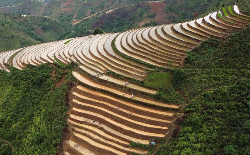 The flood season on terraced fields in the mountainous areas of Ta Xua, Son La province. Photo: Truong Son