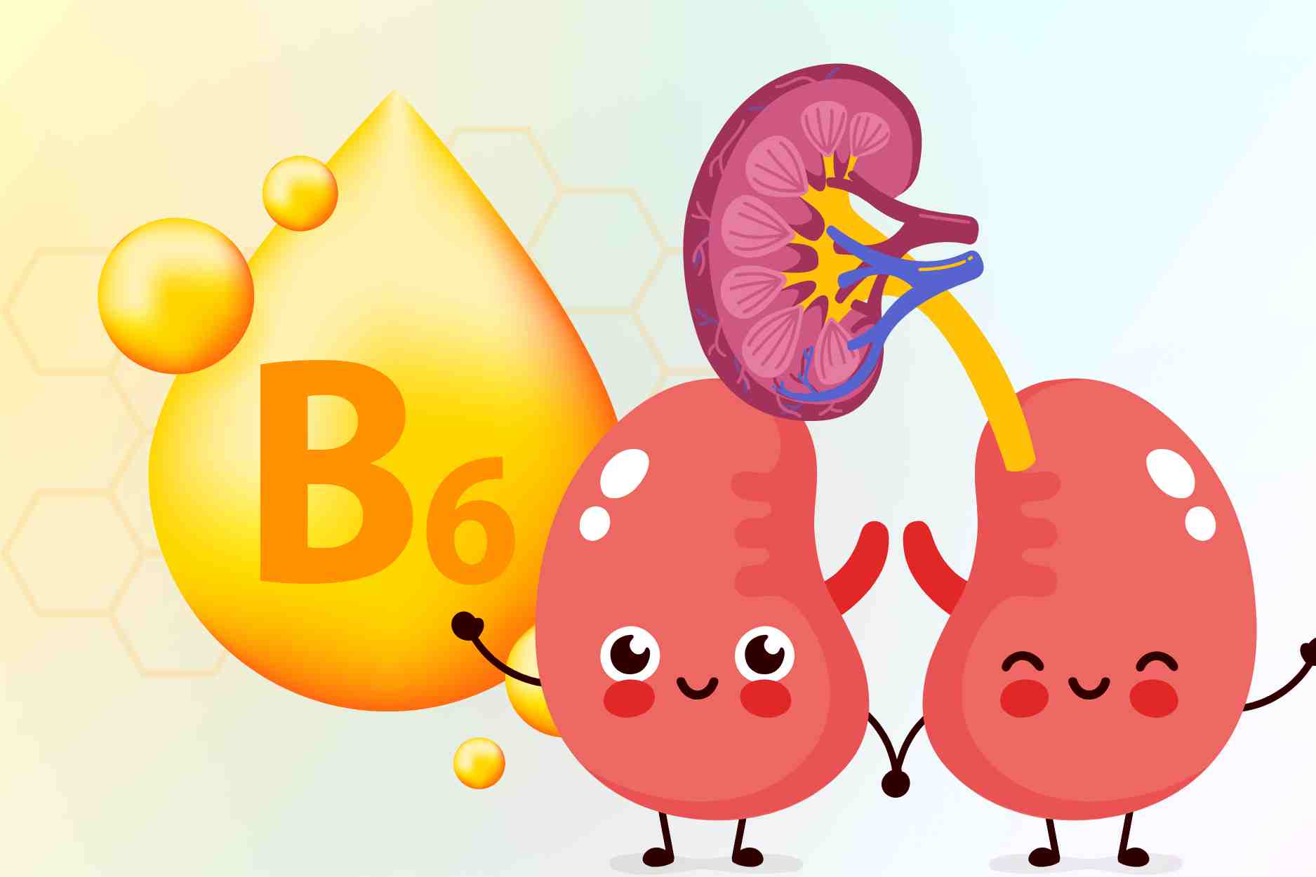 Summary of the 8 best foods rich in vitamin B6 for kidney detoxification