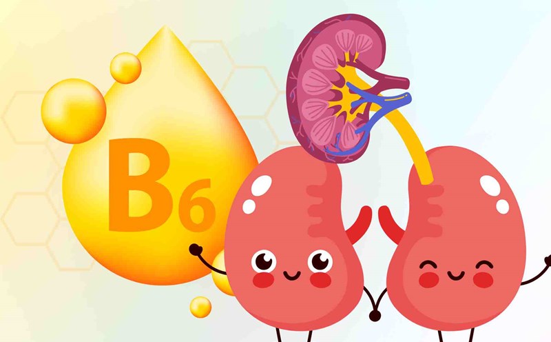 Summary of the 8 best foods rich in vitamin B6 for kidney detoxification