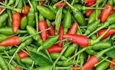 Eating too many spicy spices like chili for dinner will affect sleep quality. Photo: Kieu Vu