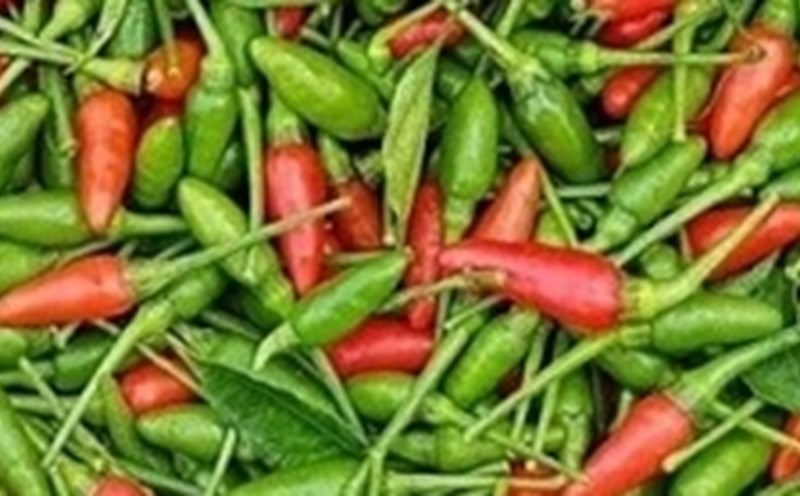 Eating too many spicy spices like chili for dinner will affect sleep quality. Photo: Kieu Vu