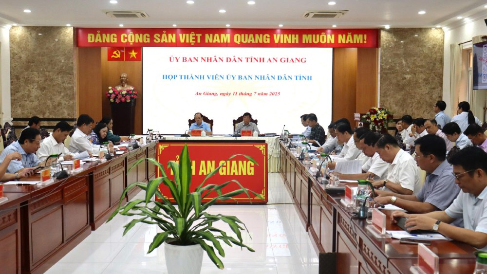 안장성 인민위원회 위원들은 성 인민의회에 제출된 8건의 문서를 통해 토론하고 의견을 제시했습니다. 사진: Ngoc Mai