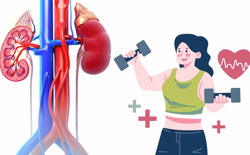 A healthy lifestyle helps eliminate toxins and maintain good liver and kidney function. Graphics: Ha May