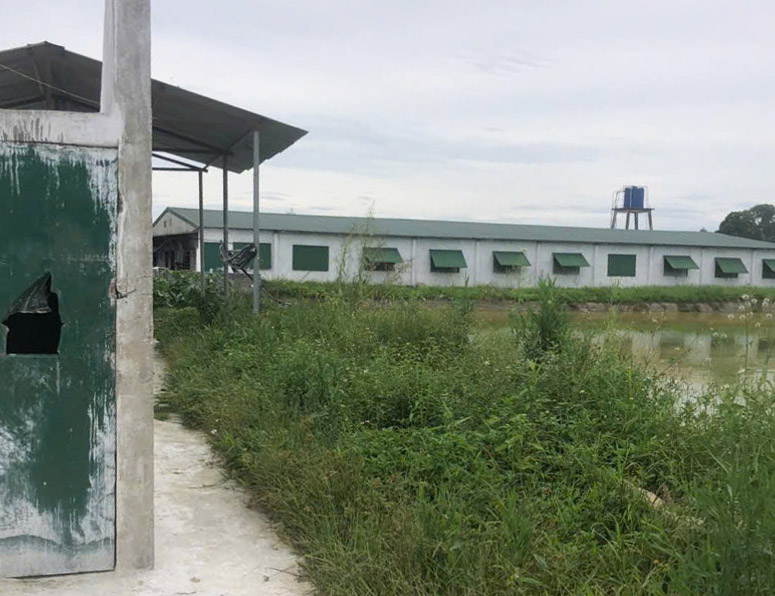 Người dân xã Lam Thành, tỉnh Nghệ An phản ánh trại lợn trên địa bàn gây ô nhiễm, hôi thối từ nhiều năm qua. Ảnh: Quang Đại