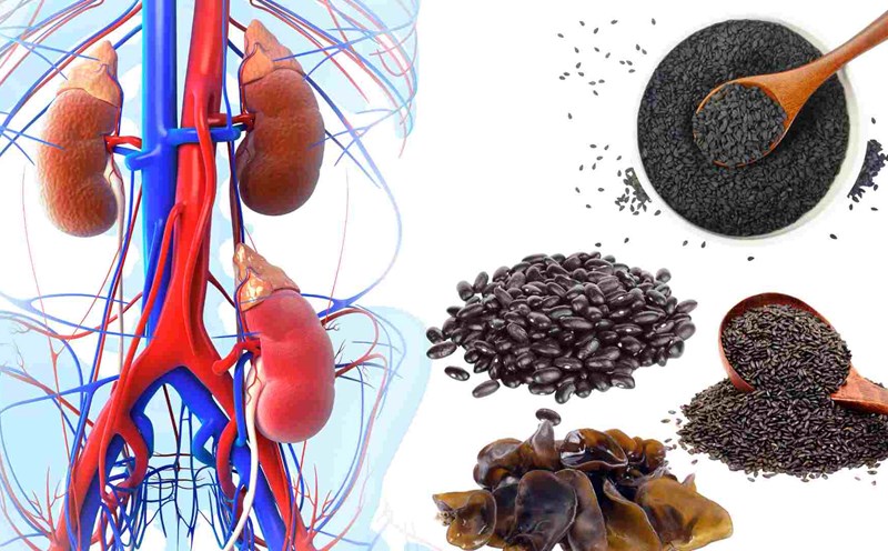 Black foods are good for the liver and kidneys. Graphics: Ha May