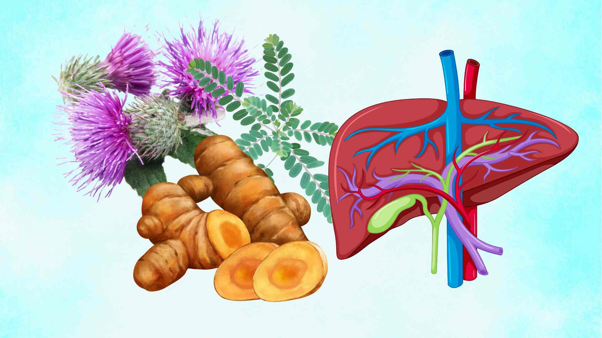 The wild plant that turns out to be a medicine for liver cleansing. Graphic photo: Thai Anh