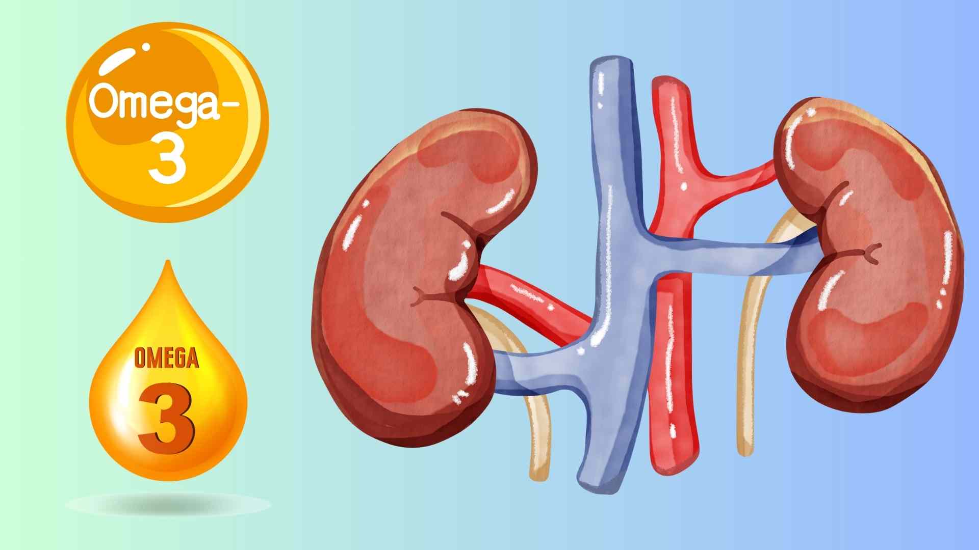 Taking omega-3 properly and at the right time can help the kidneys self-filter toxins more effectively. The article will suggest the best time to supplement this nutrient. Graphics: Huyen Trang