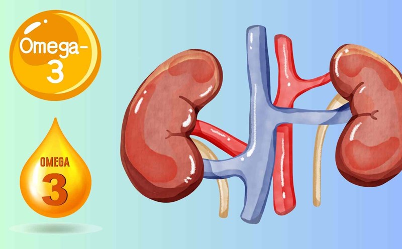 Taking omega-3 properly and at the right time can help the kidneys self-filter toxins more effectively. The article will suggest the best time to supplement this nutrient. Graphics: Huyen Trang