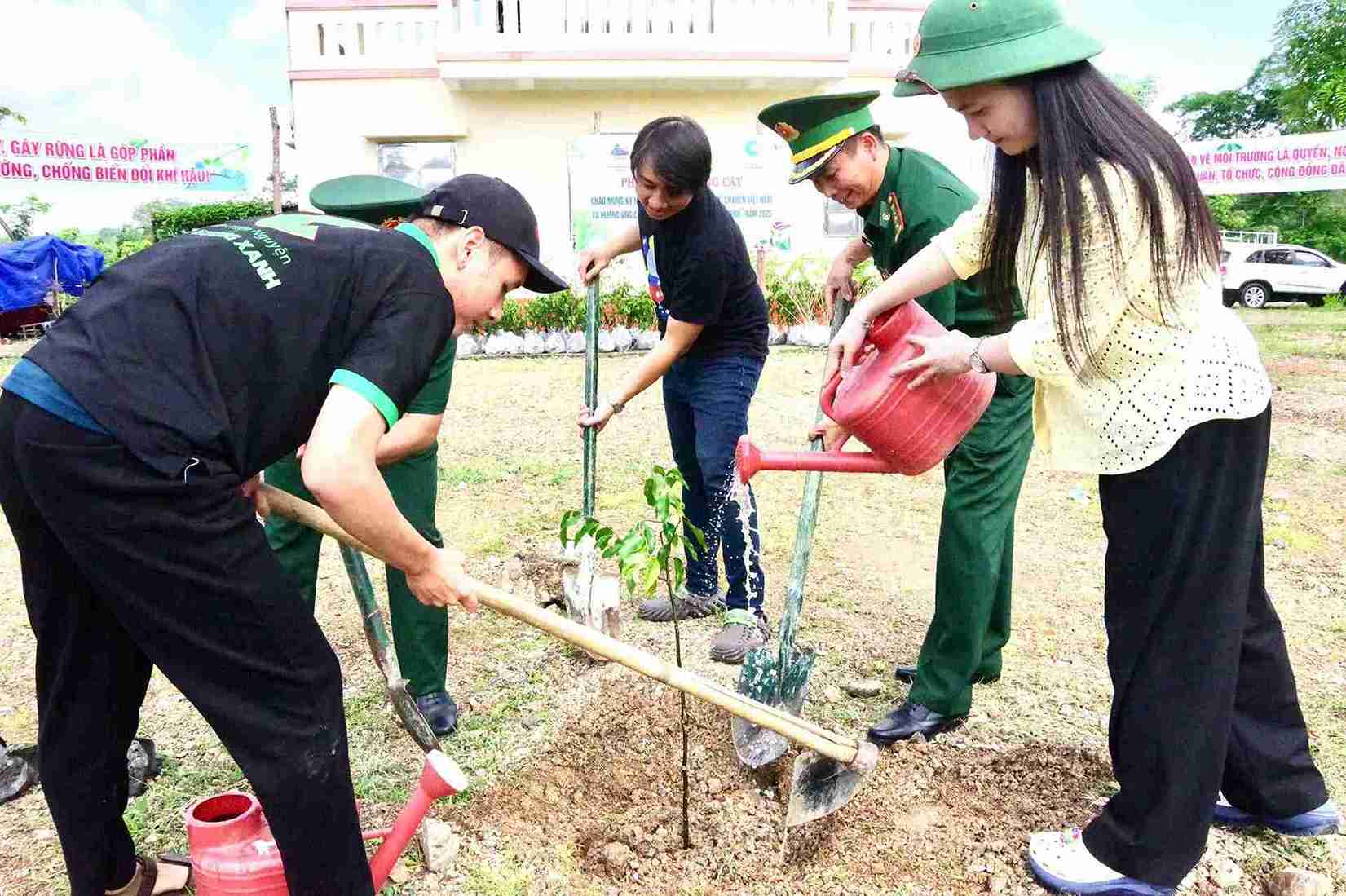 Trees are planted in Buon Don commune (Dak Lak province). Photo: Bao Trung