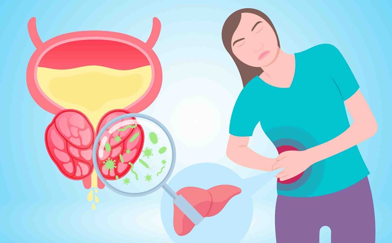 Medications that support cirrhosis and effectively reduce urinary tract inflammation
