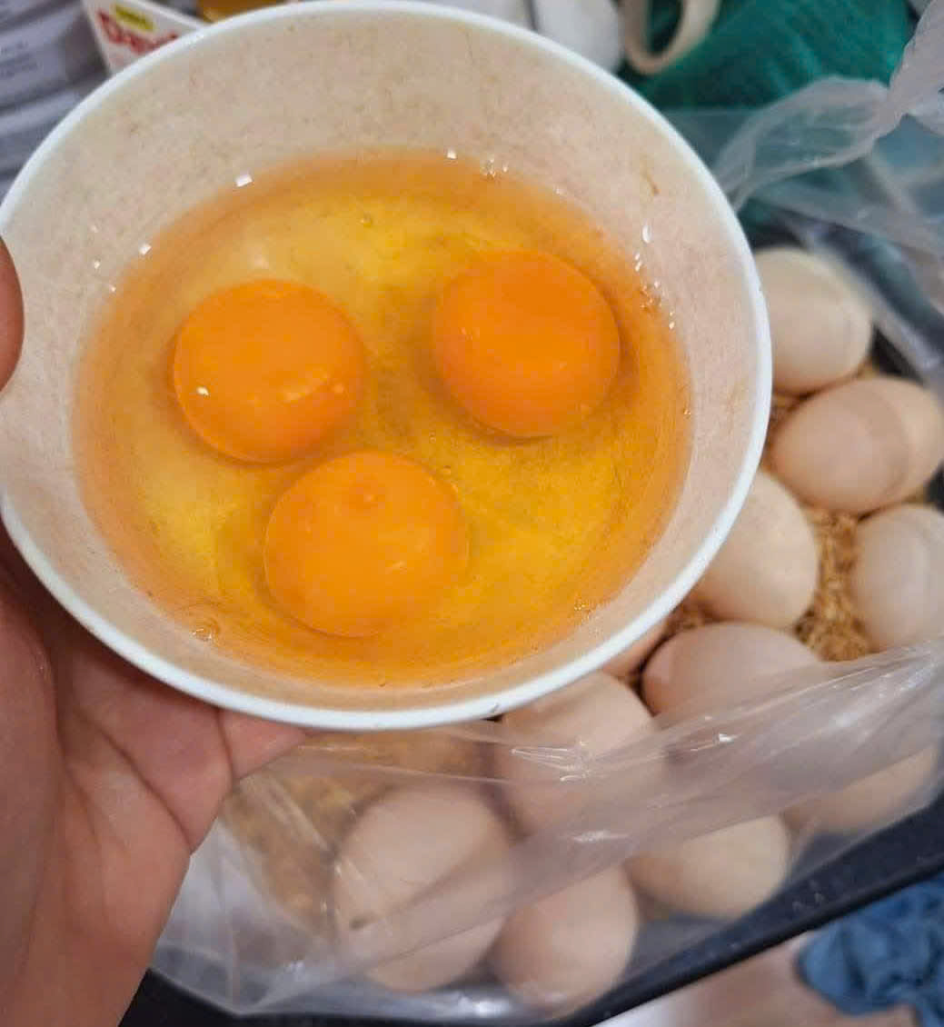 Egg yolks contain a lot of vitamin D. Photo: Quang Minh.