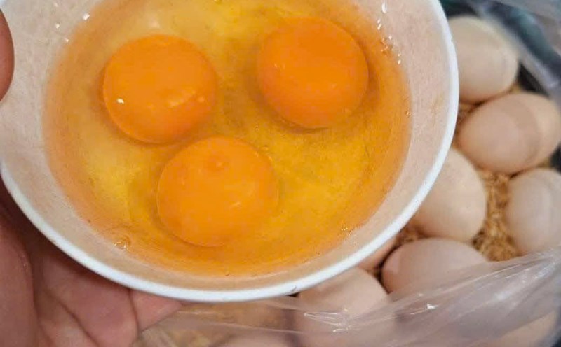 Egg yolks contain a lot of vitamin D. Photo: Quang Minh.