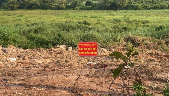 Khu vuc tieu huy lon benh nay da co dau hieu bi ro ri, nuoc den ngom chay ra, boc mui hoi thoi nong nac. Anh: Thuy Linh