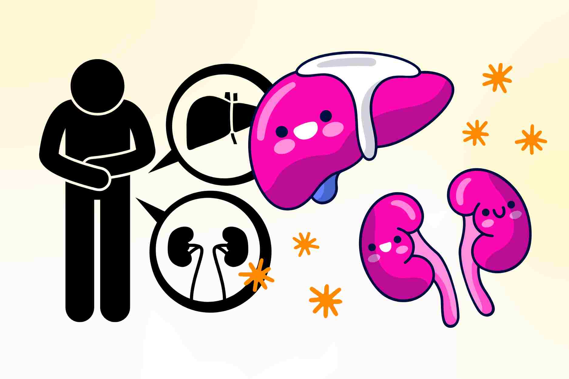 4 uses of folk remedies to help nourish the liver and kidneys, increase men's vitality