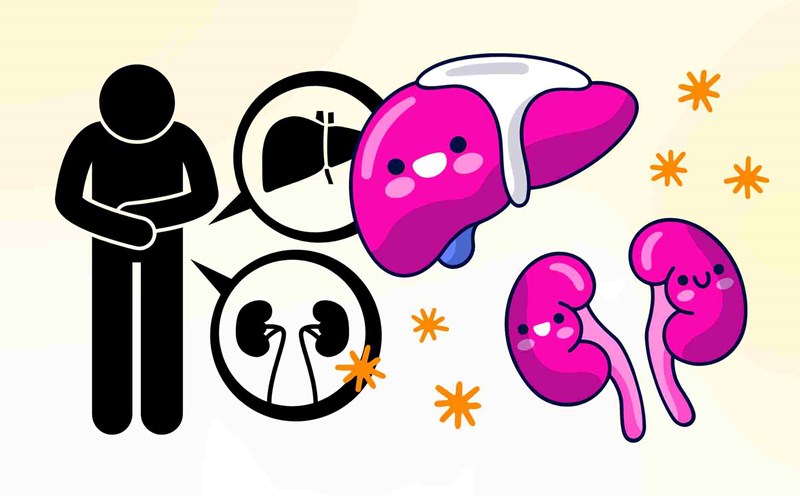 4 uses of folk remedies to help nourish the liver and kidneys, increase men's vitality