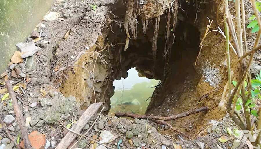 Deteccion de la muerte en la escuela en Thai Nguyen. Foto: Cong Minh