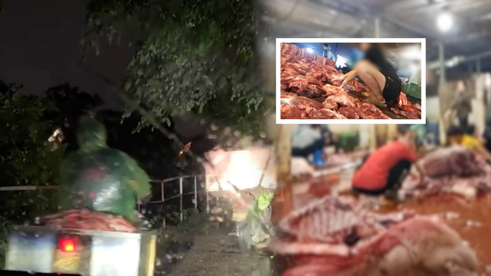 All night on a journey to conquer pigs with signs of illness from slaughterhouses to restaurants