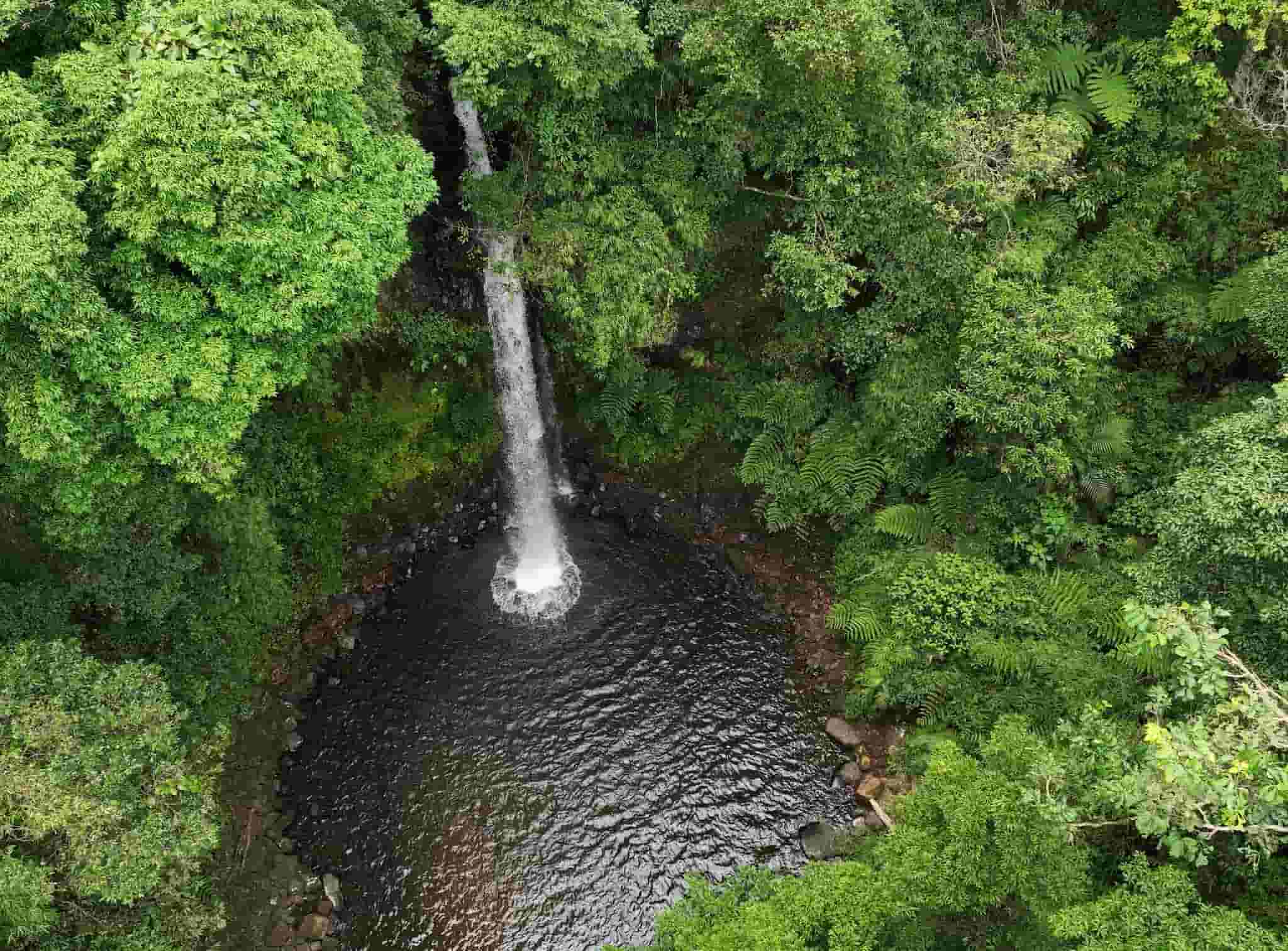 La hermosa cascada acaba de descubrir en Kon Plong, con el potencial de explorar el turismo. Foto: Comite Popular de Kon Plong proporcionado