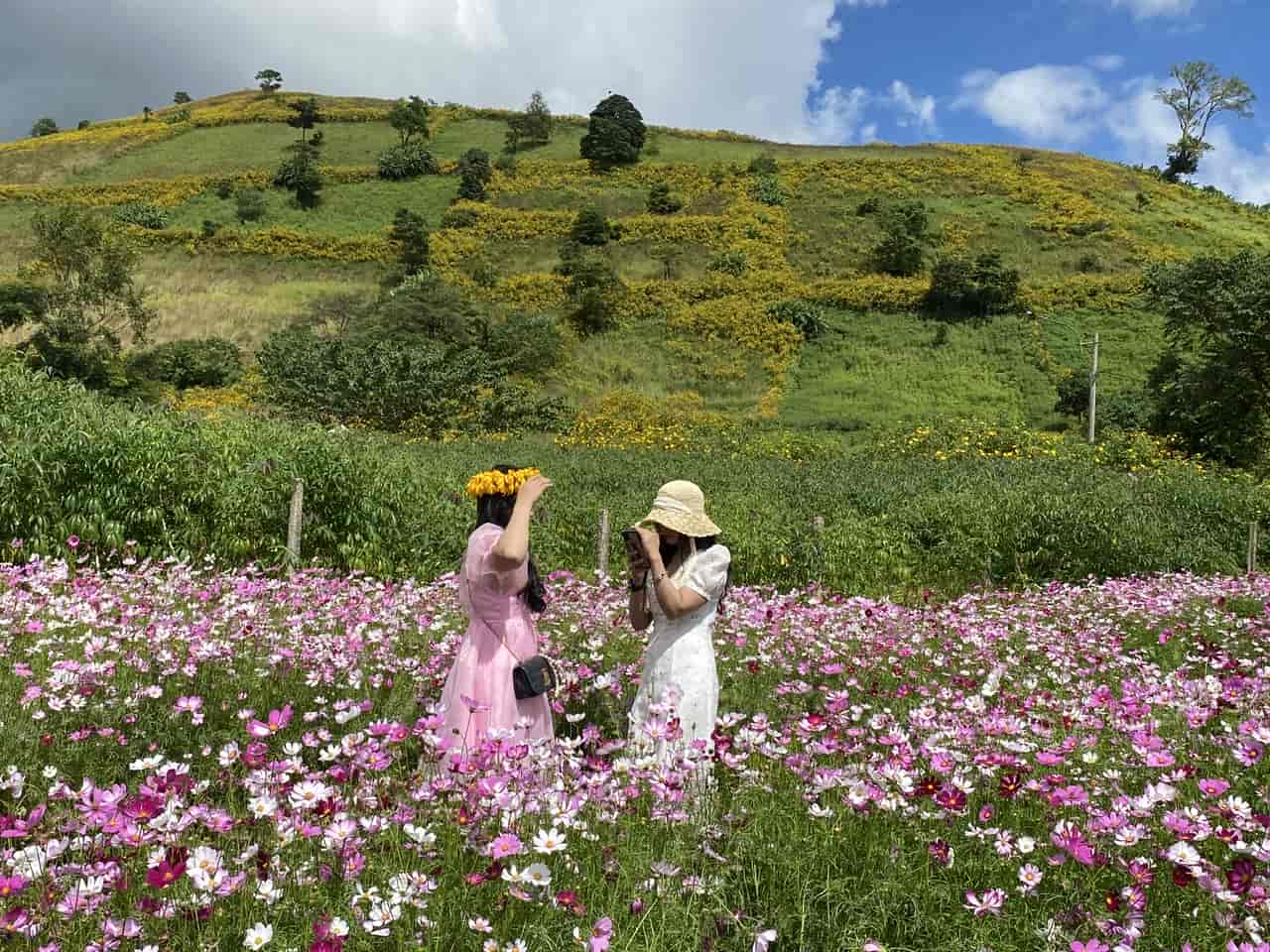 Du khach den nui lua Chu Dang Ya vao ngay hoi. Anh: Thanh Tuan 