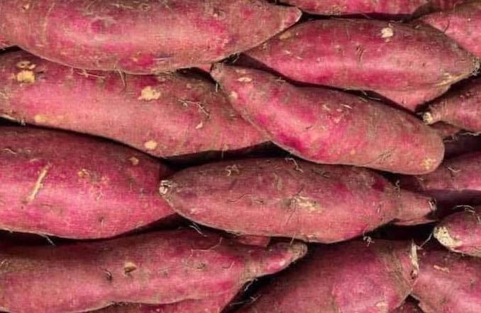 リンゴはビタミンAが豊富で、目の乾燥を軽減するのに役立つ可能性があります。写真:キエウ・ヴー