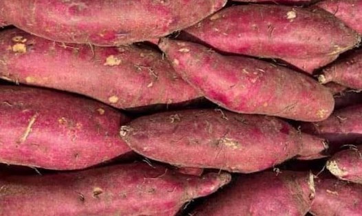 Khoai lang giàu vitamin A, có thể hỗ trợ giảm tình trạng khô mắt. Ảnh: Kiều Vũ