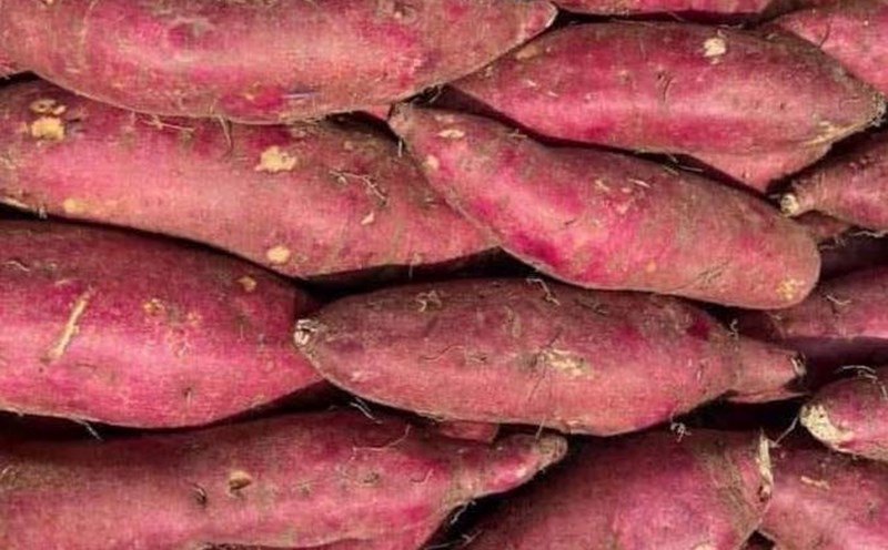 Sweet potatoes are rich in vitamin A, which can help reduce dry eyes. Photo: Kieu Vu