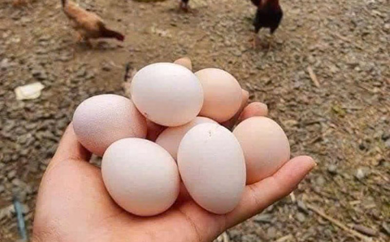 Egg yolks are a natural solution to help quickly lower blood sugar after eating. Photo: Quang Minh.